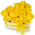 Květinový box růží
